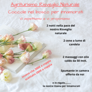 Coccole nel bosco per Innamorati san valentino 2020 San Valentino in agriturismo