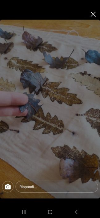 eco-printing
