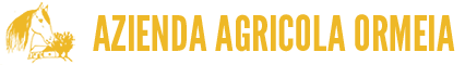 logo-1