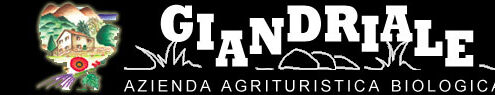 logo_giandriale