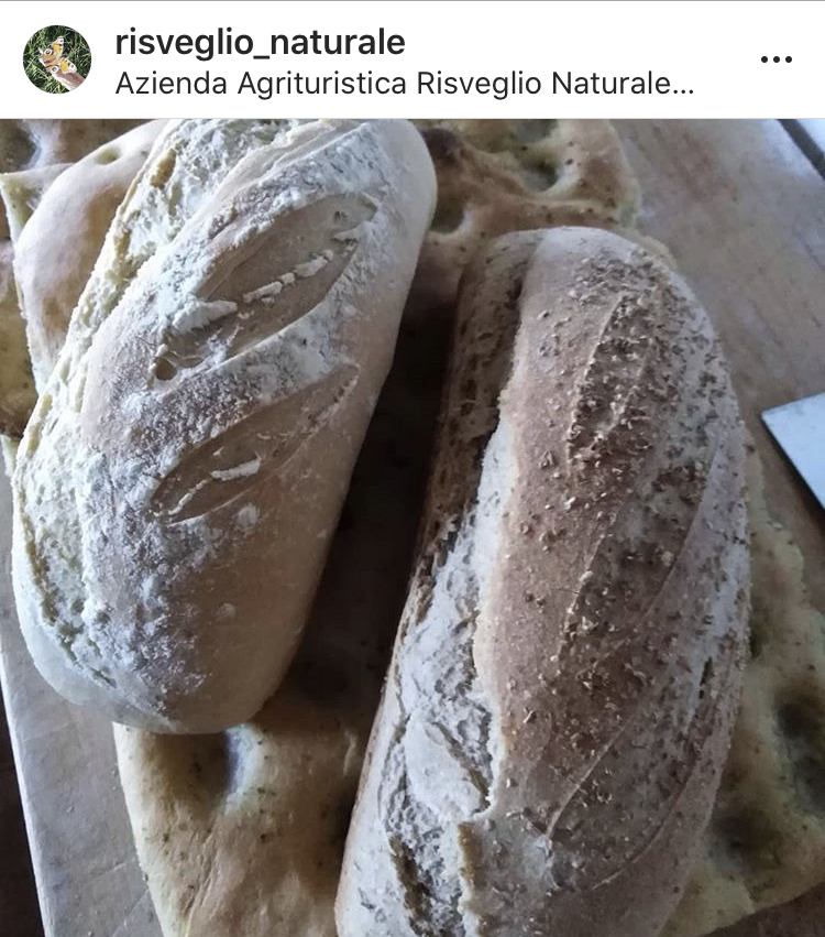 pane fatto in casa